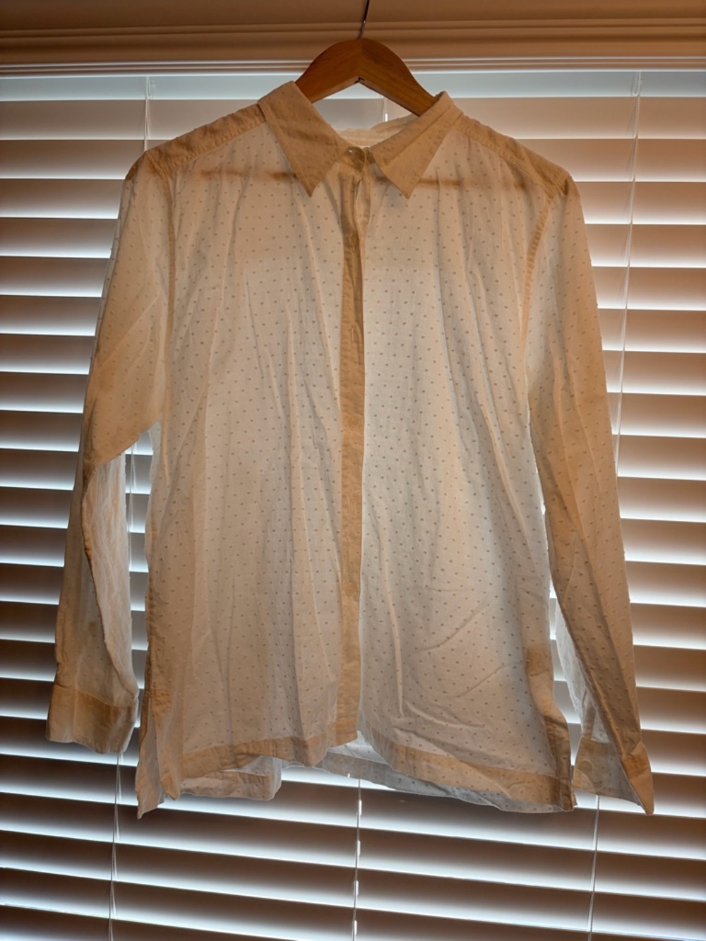 Christopher & Banks White Swiss Dot Button-Up Shirt